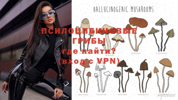 герыч Краснотурьинск