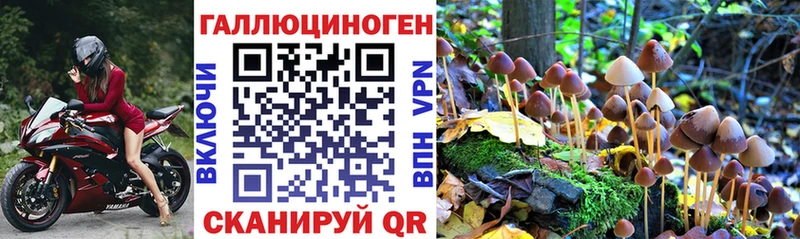 Купить где  Назарово  Галлюциногенные грибы Magic Shrooms 